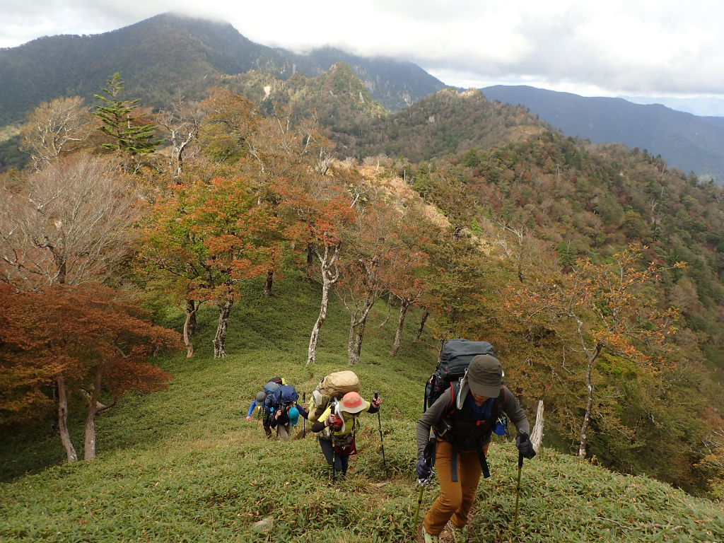 f:id:chkch:20211011234821j:plain