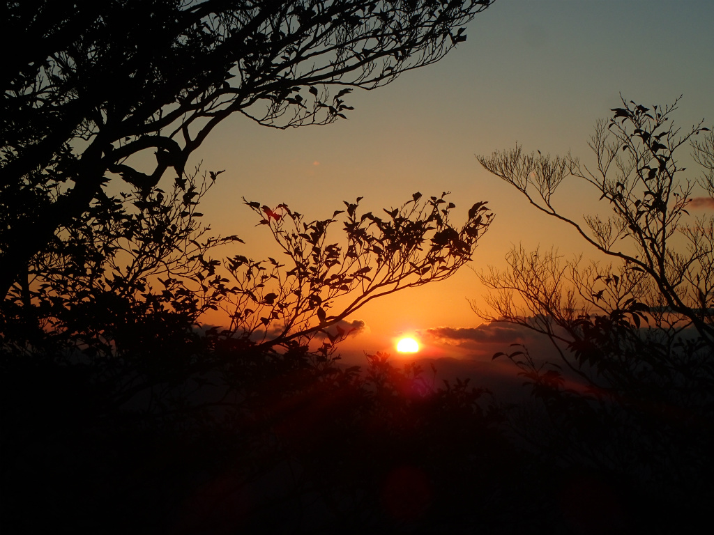 f:id:chkch:20211011234833j:plain