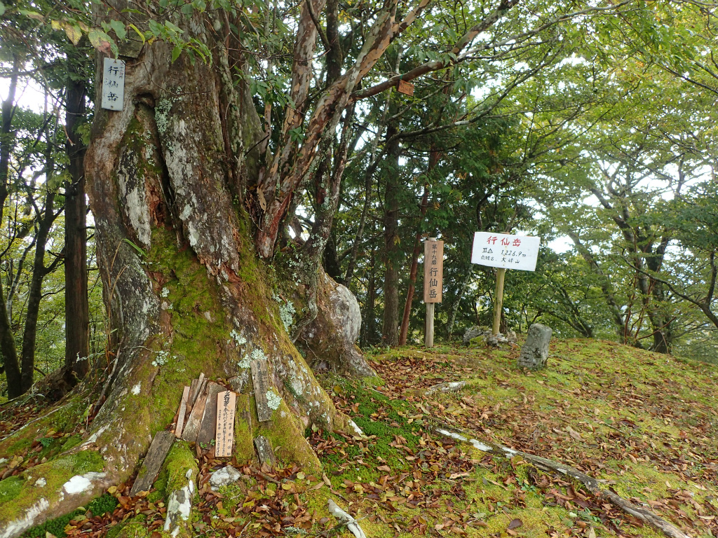 f:id:chkch:20211011234856j:plain