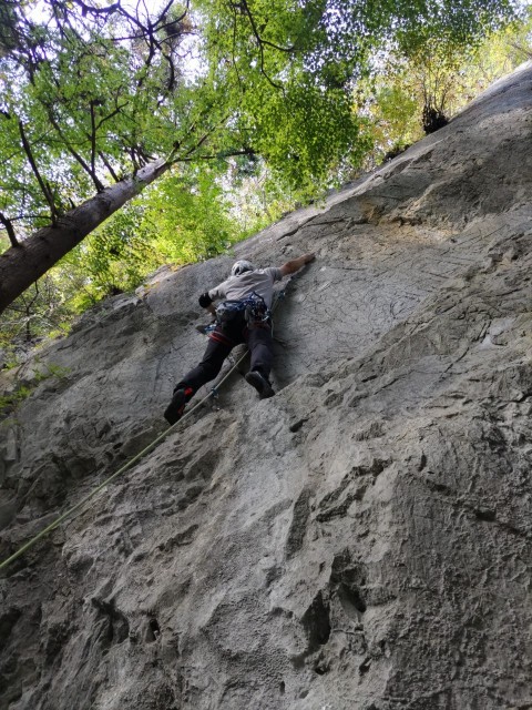 f:id:chkch:20231026121707j:image