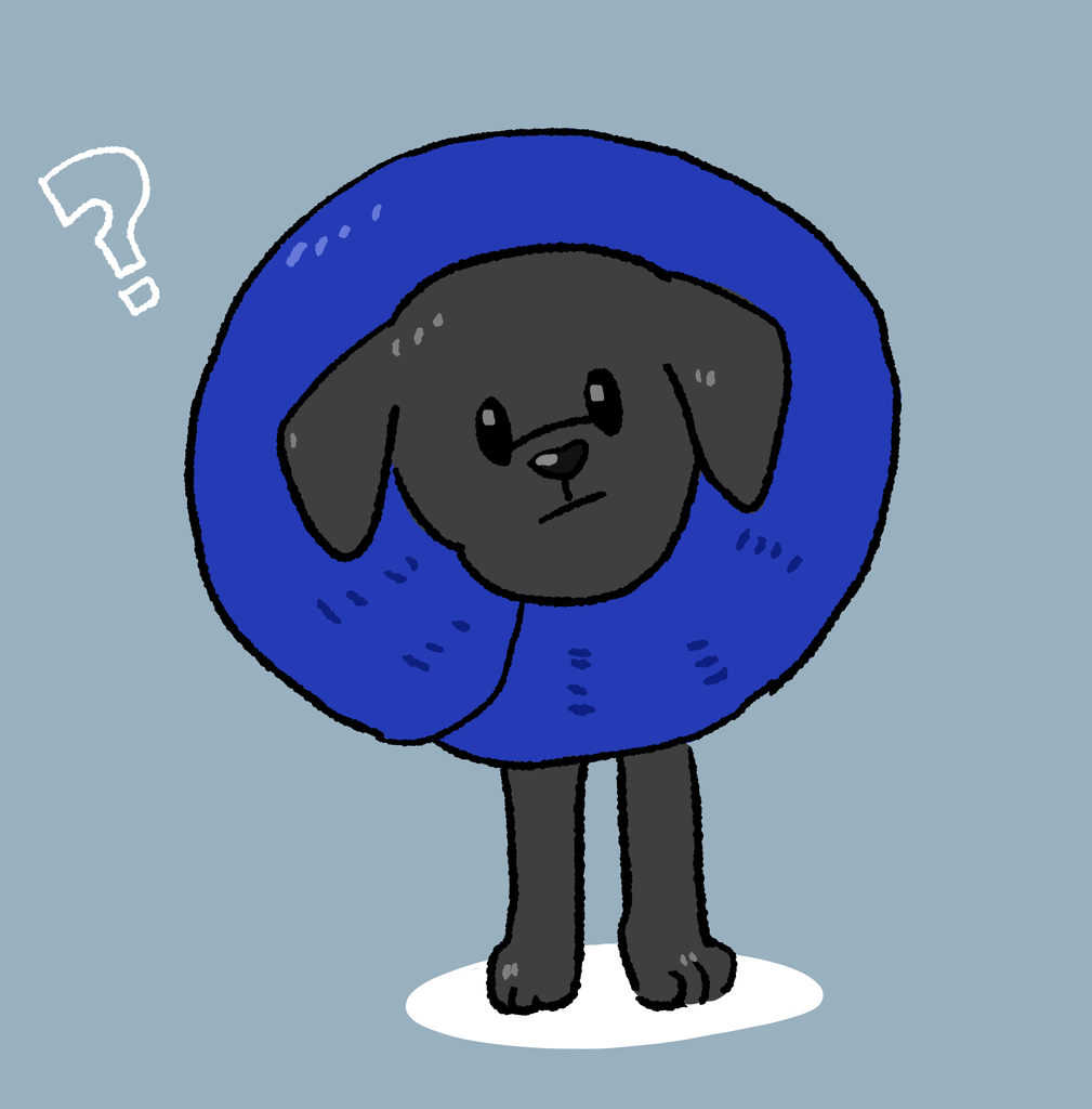f:id:chloe0608:20190202211106p:plain