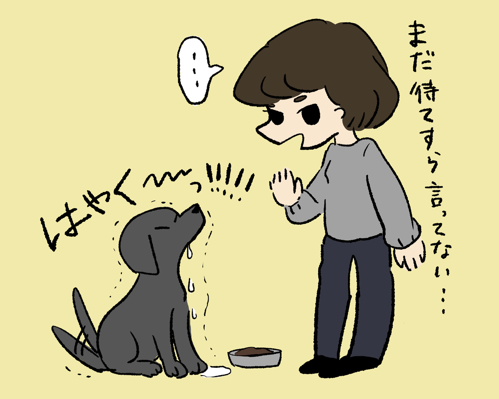 f:id:chloe0608:20190209204842p:plain