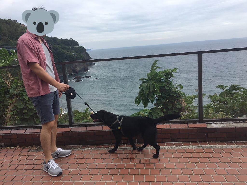 f:id:chloe0608:20190923212451j:plain