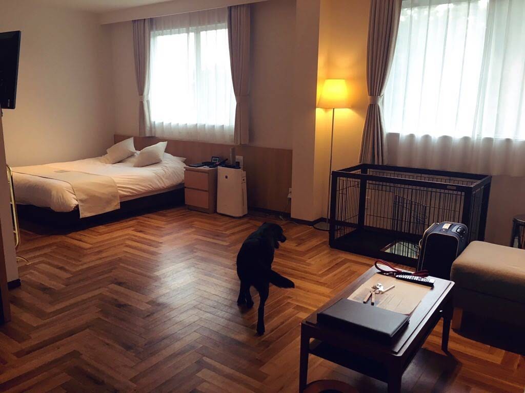 f:id:chloe0608:20191031220450j:plain