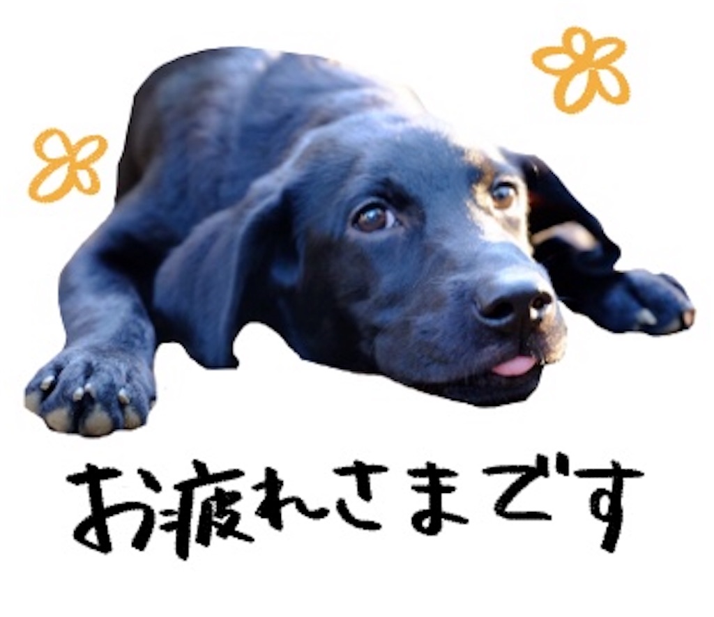 f:id:chloe0608:20191114180019j:image