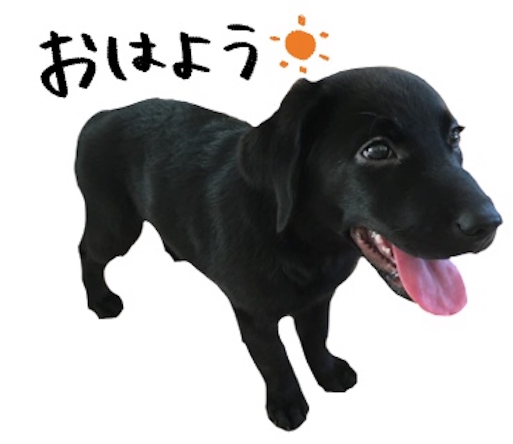 f:id:chloe0608:20191114180033j:image