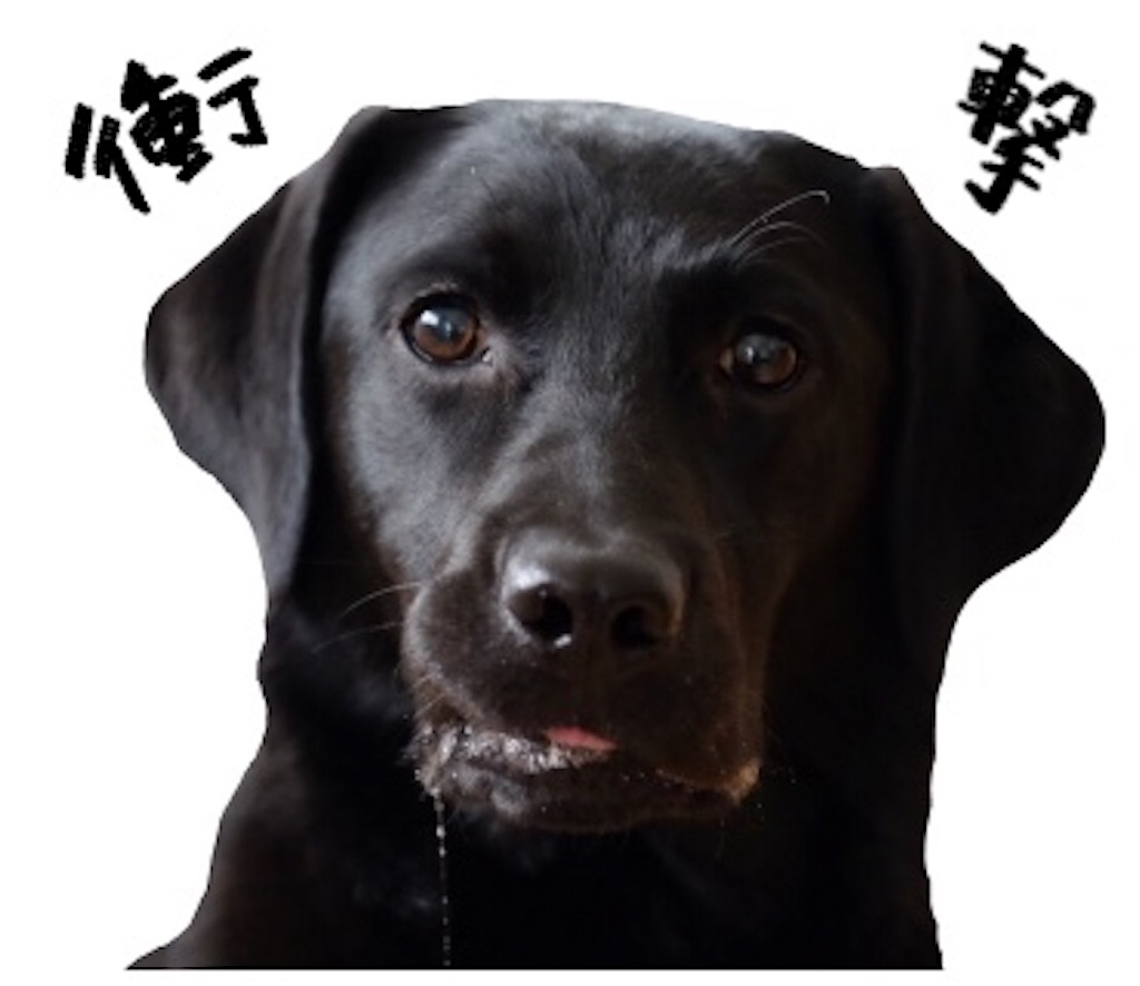 f:id:chloe0608:20191114180042j:image
