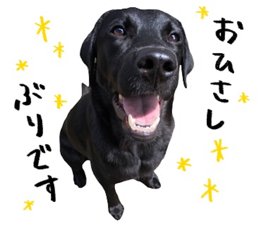 f:id:chloe0608:20191114180441j:image