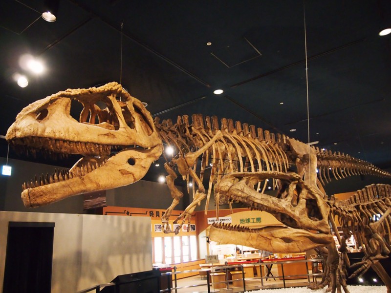 f:id:cho-ko:20140720150408j:image:w360