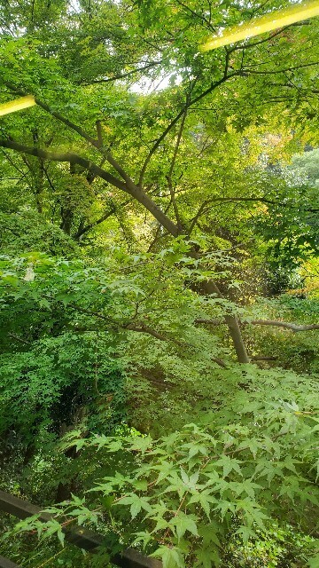 f:id:cho-ko:20231030210813j:image