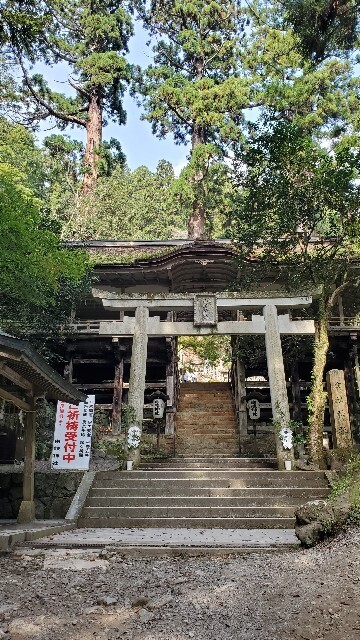 f:id:cho-ko:20231030211127j:image