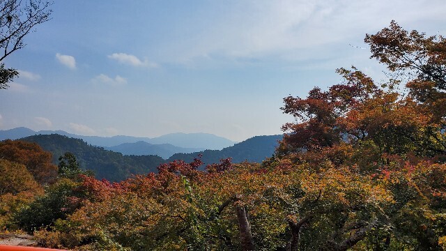 f:id:cho-ko:20231030211322j:image