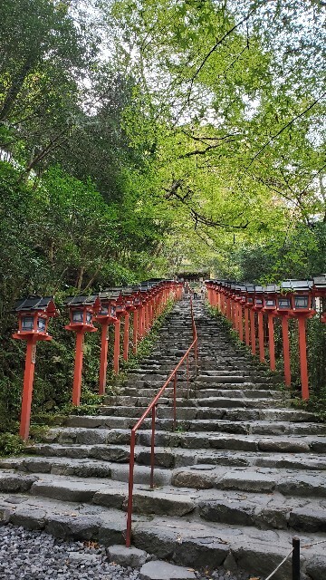 f:id:cho-ko:20231030233809j:image