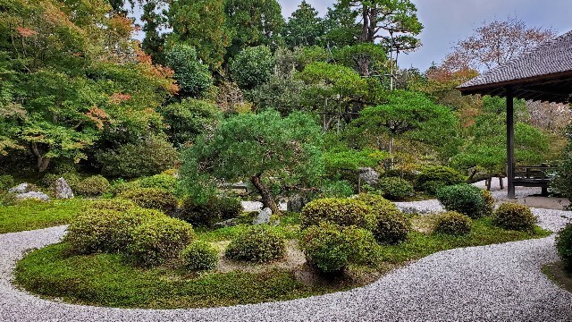 f:id:cho-ko:20231031185148j:image