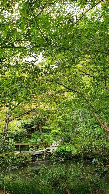 f:id:cho-ko:20231101000952j:image