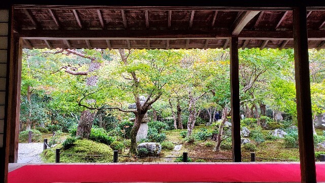 f:id:cho-ko:20231101001448j:image