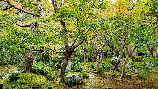 f:id:cho-ko:20231101001530j:image