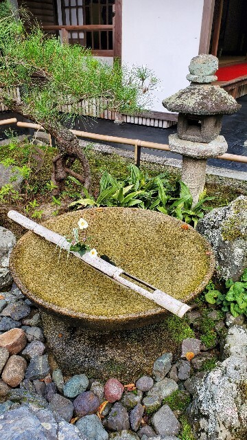f:id:cho-ko:20231101175513j:image