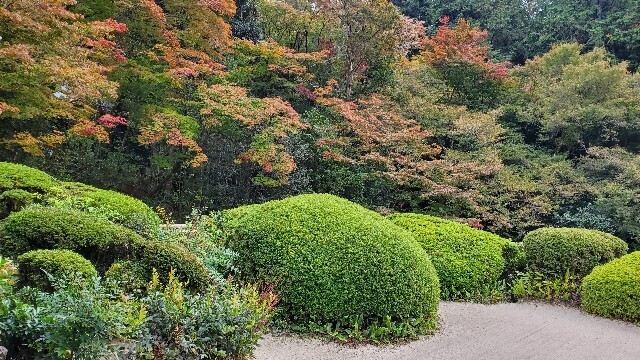 f:id:cho-ko:20231101204754j:image