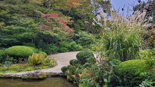 f:id:cho-ko:20231101205520j:image