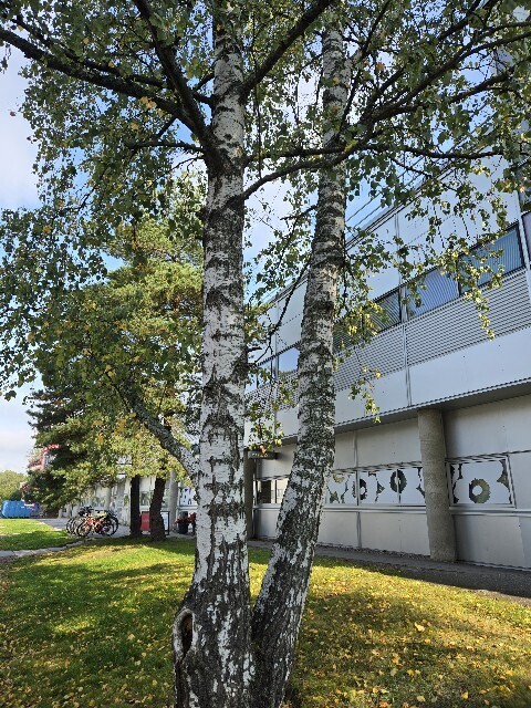 f:id:cho-ko:20250927000355j:image f:id:cho-ko:20250927000355j:image