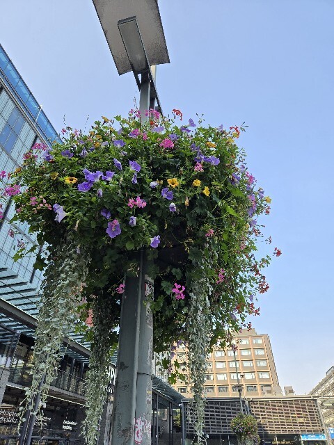 f:id:cho-ko:20250929132040j:image f:id:cho-ko:20250929132040j:image