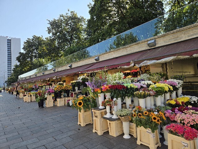 f:id:cho-ko:20251002133741j:image f:id:cho-ko:20251002133741j:image