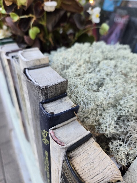 f:id:cho-ko:20251008001131j:image