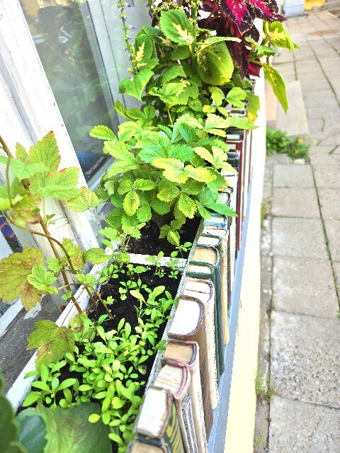 f:id:cho-ko:20251008130819j:image