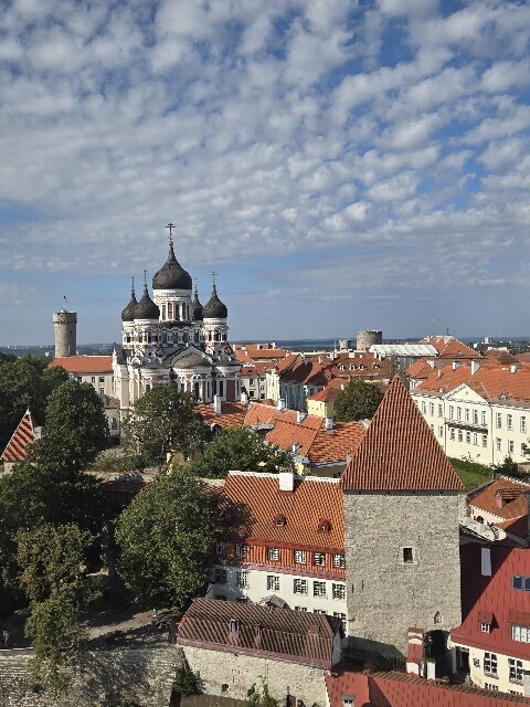 f:id:cho-ko:20251008192538j:image