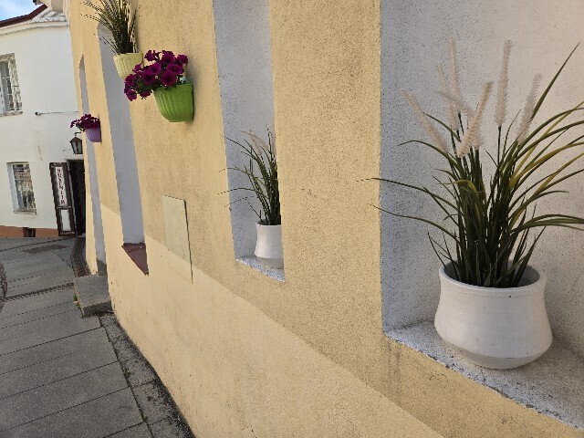 f:id:cho-ko:20251012005727j:image