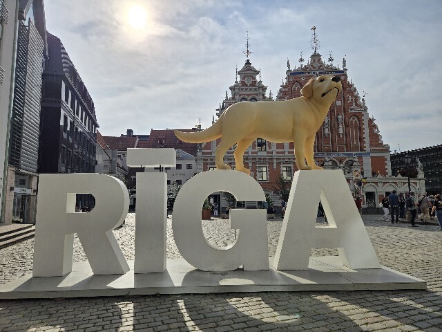 f:id:cho-ko:20251020124810j:image f:id:cho-ko:20251020124810j:image