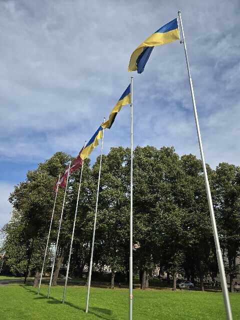 f:id:cho-ko:20251027003637j:image f:id:cho-ko:20251027003637j:image