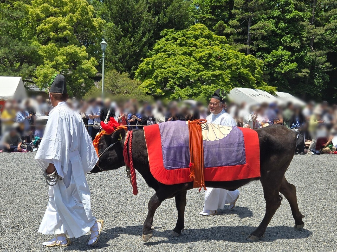 f:id:cho-ko:20260615124101j:image