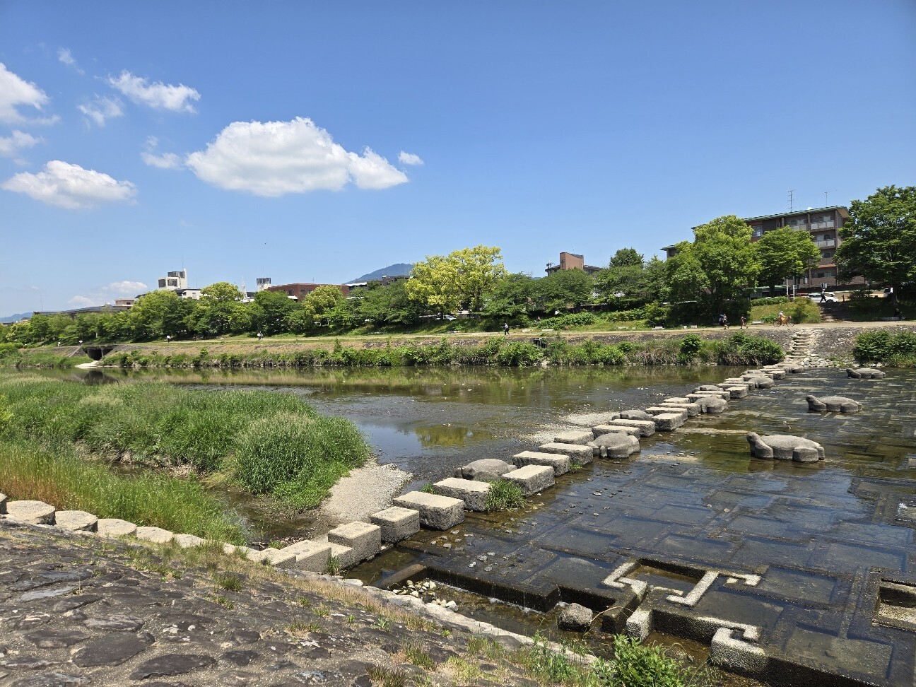 f:id:cho-ko:20260615125603j:image f:id:cho-ko:20260615125603j:image