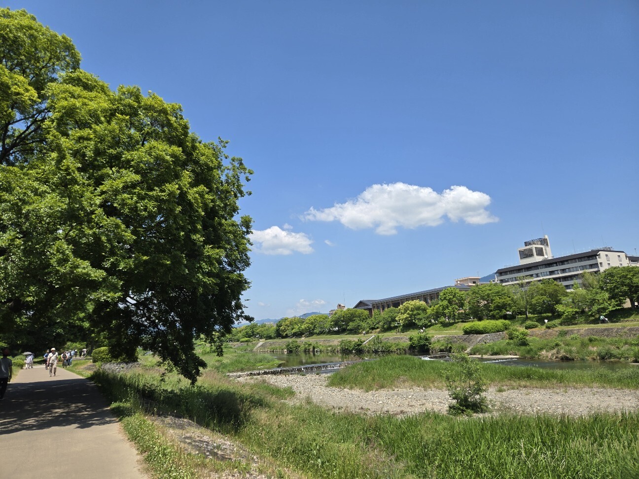 f:id:cho-ko:20260615125604j:image f:id:cho-ko:20260615125604j:image