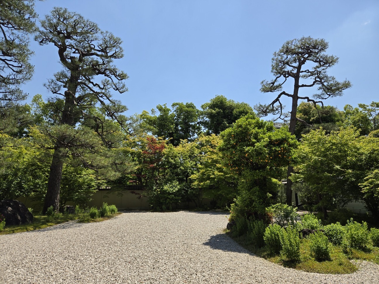 f:id:cho-ko:20260616123140j:image f:id:cho-ko:20260616123140j:image