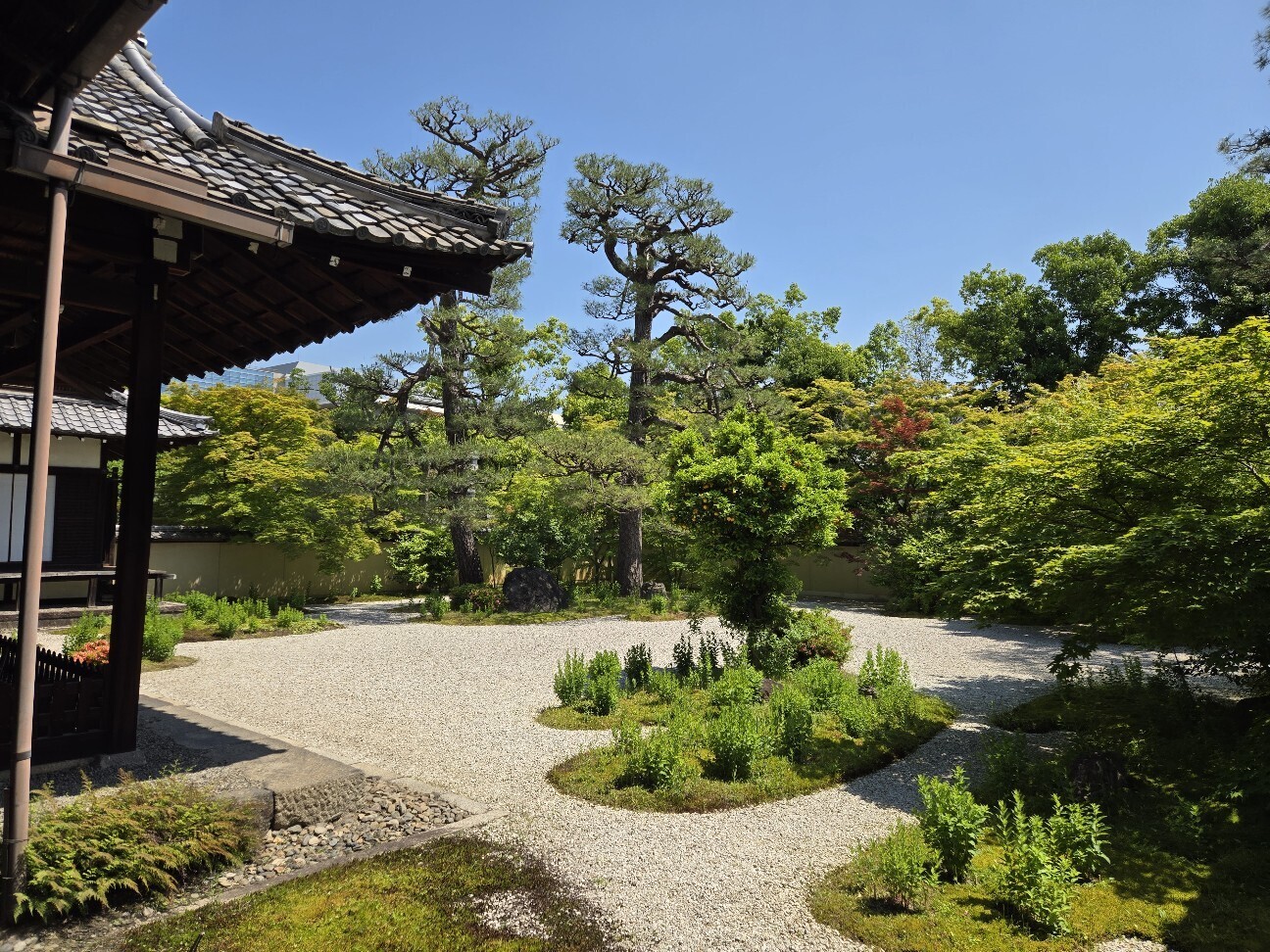 f:id:cho-ko:20260616123141j:image f:id:cho-ko:20260616123141j:image