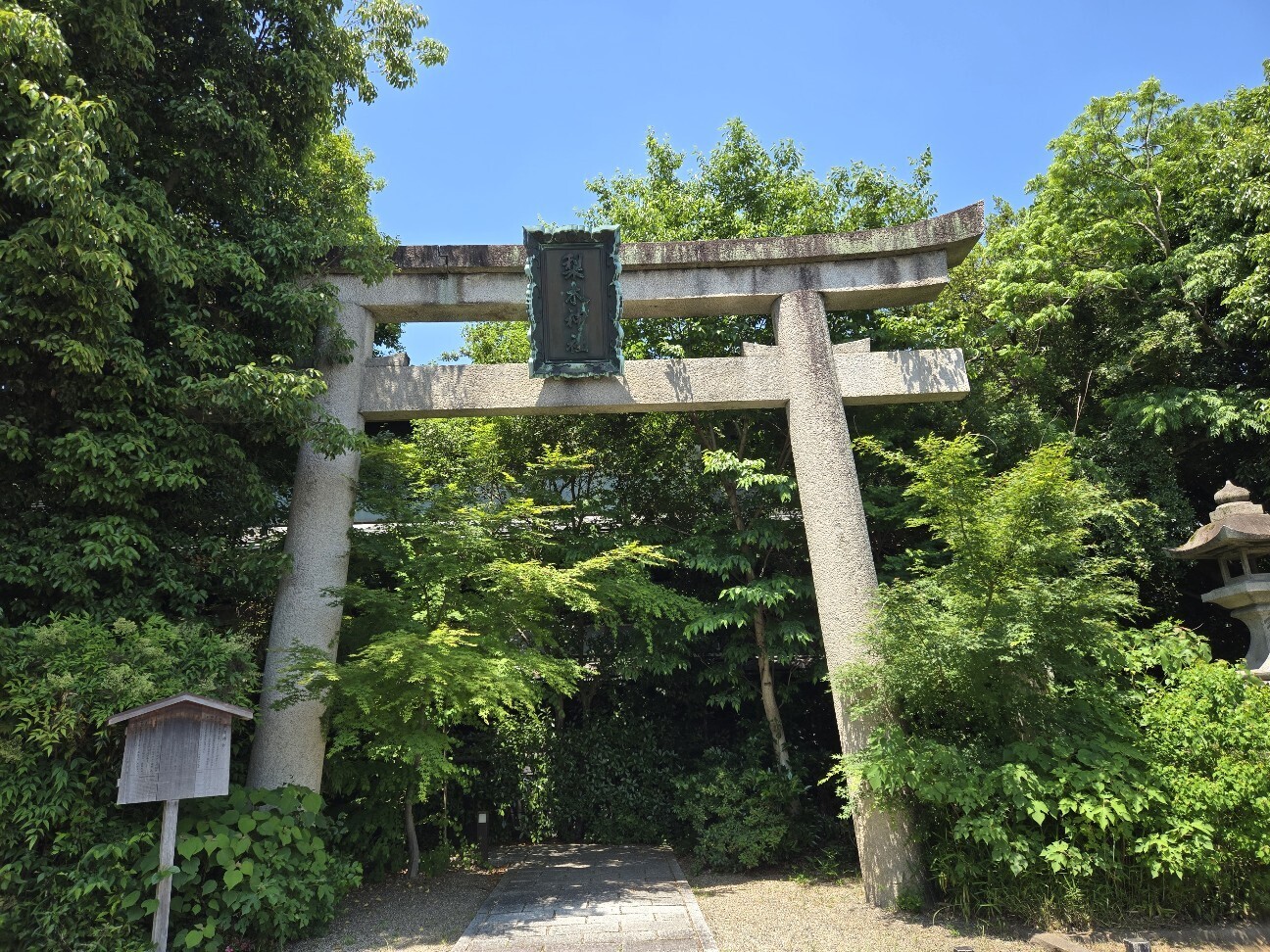 f:id:cho-ko:20260616123549j:image f:id:cho-ko:20260616123549j:image