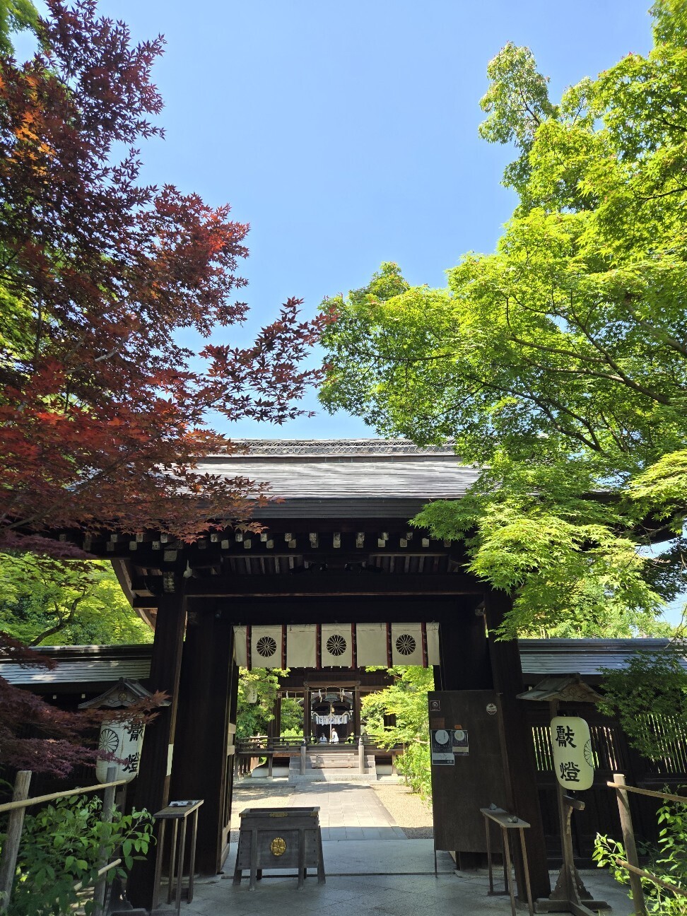 f:id:cho-ko:20260616123550j:image f:id:cho-ko:20260616123550j:image