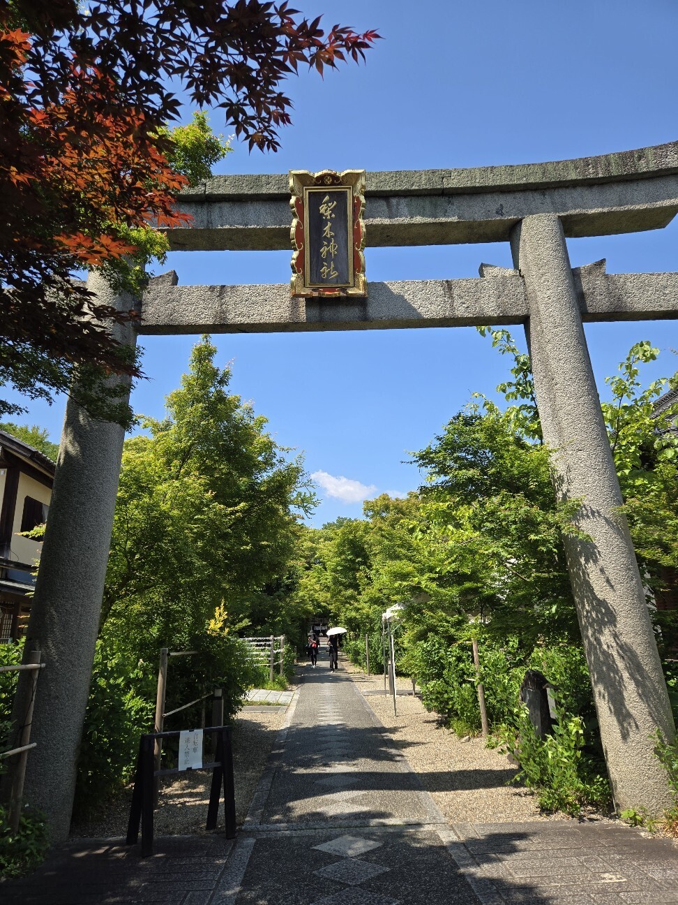 f:id:cho-ko:20260616123556j:image f:id:cho-ko:20260616123556j:image