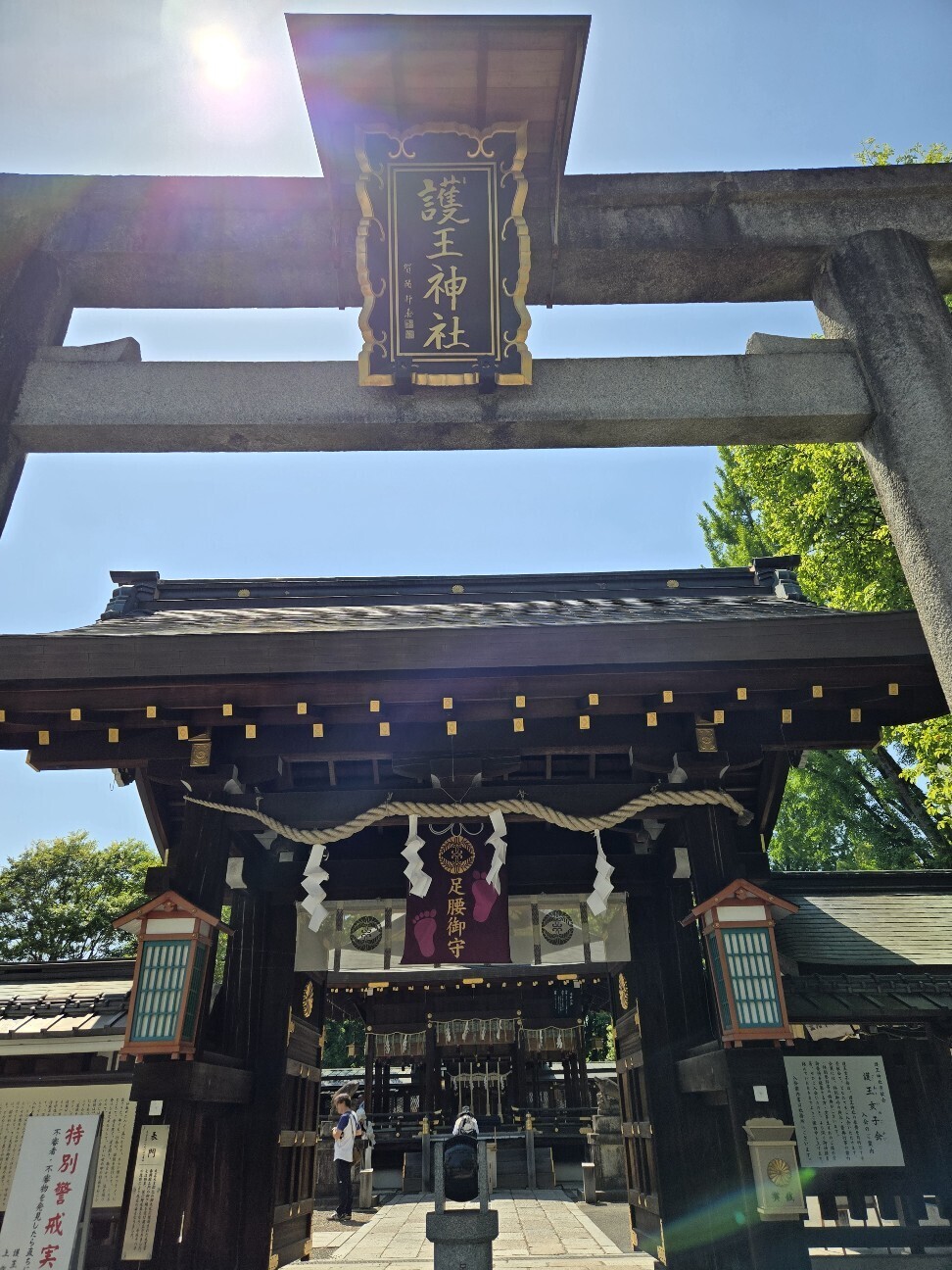 f:id:cho-ko:20260616123904j:image f:id:cho-ko:20260616123904j:image