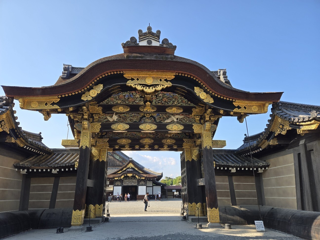 f:id:cho-ko:20260618130655j:image f:id:cho-ko:20260618130655j:image
