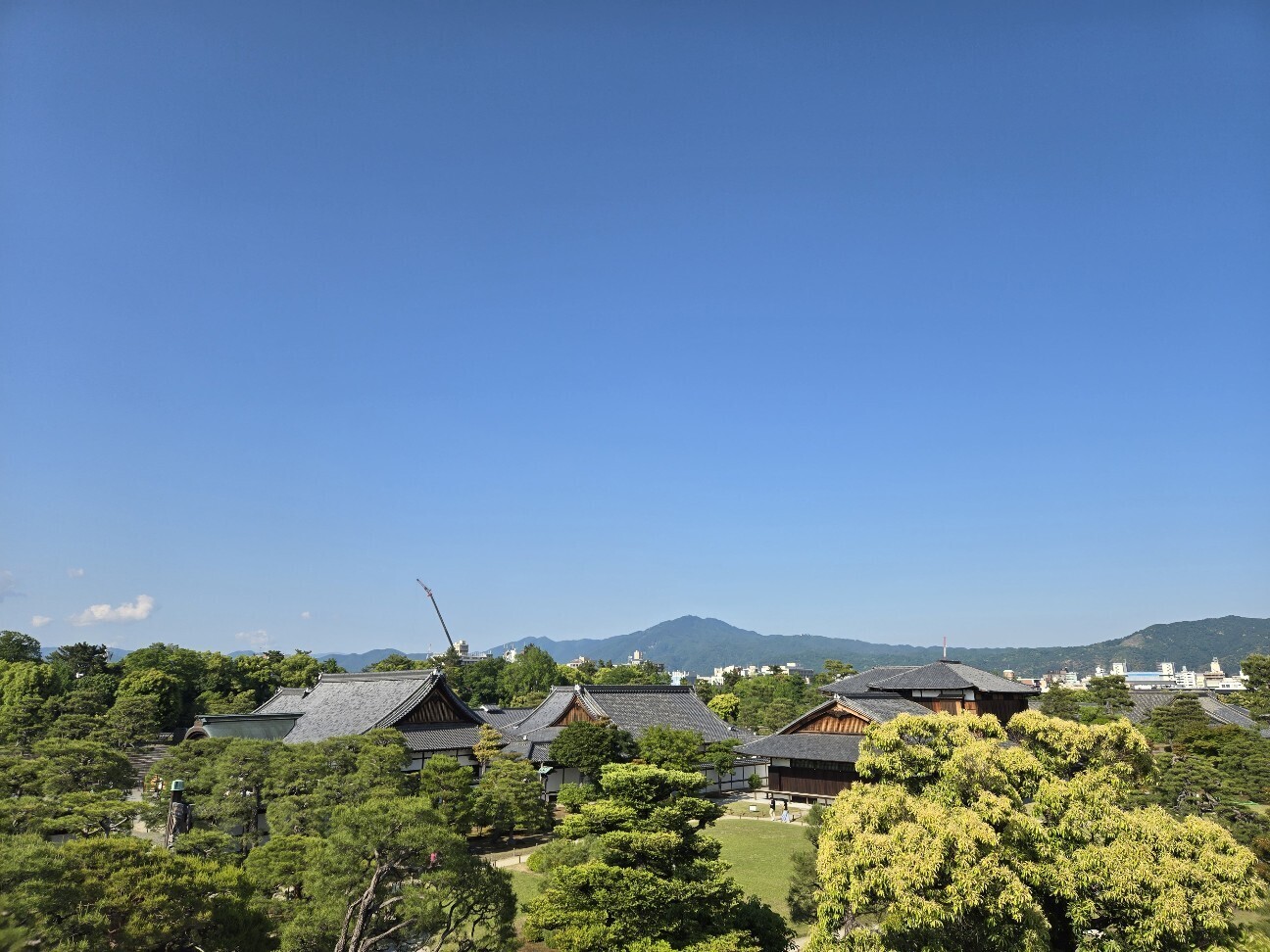 f:id:cho-ko:20260619131734j:image f:id:cho-ko:20260619131734j:image