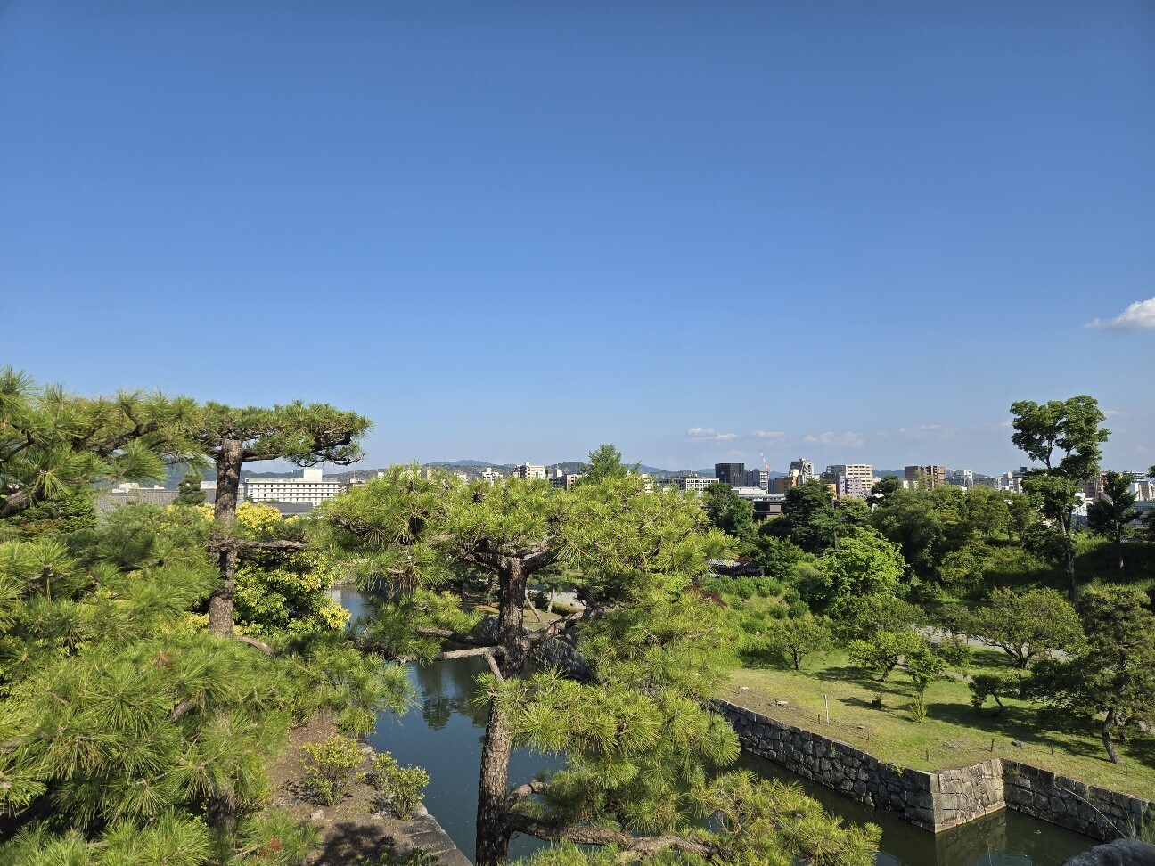 f:id:cho-ko:20260619131735j:image f:id:cho-ko:20260619131735j:image