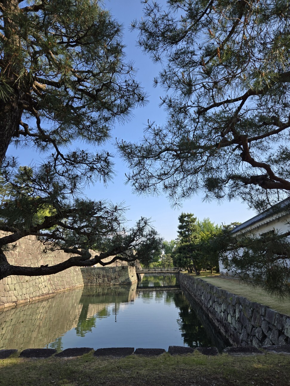f:id:cho-ko:20260619131808j:image f:id:cho-ko:20260619131808j:image