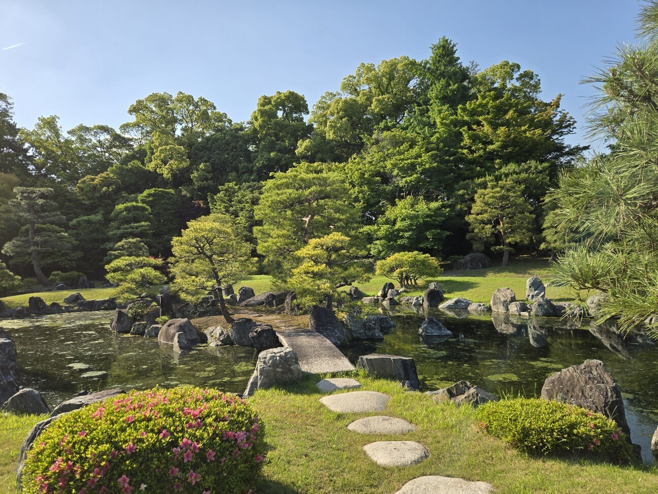 f:id:cho-ko:20260619131931j:image f:id:cho-ko:20260619131931j:image