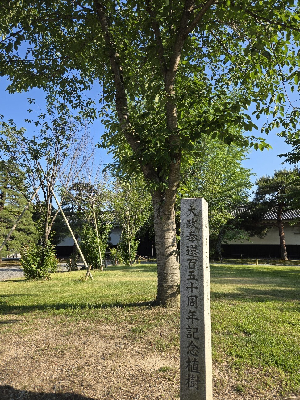 f:id:cho-ko:20260619132055j:image f:id:cho-ko:20260619132055j:image