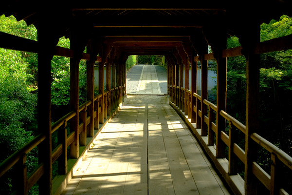 [京都][東福寺]