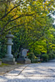 [京都][梨木神社]